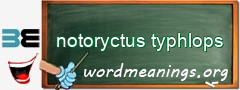 WordMeaning blackboard for notoryctus typhlops